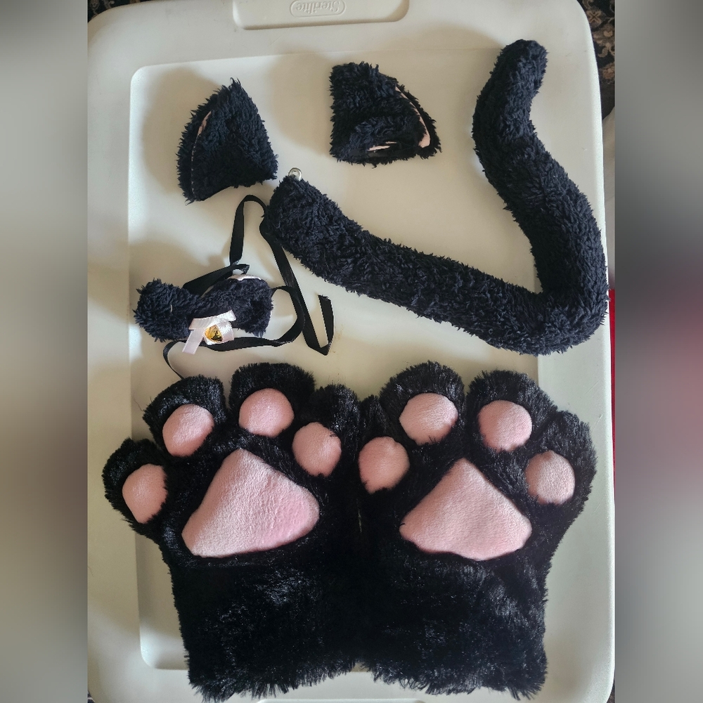 Black and Pink Cat Costume Set
